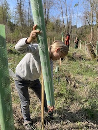 Baumpflanzaktion Wald RHH am 18.4.26